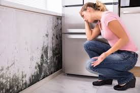 Best HVAC Mold Inspection and Cleaning  in Mattoon, IL